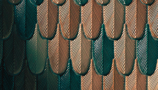 Gino D'Acampo Campaign